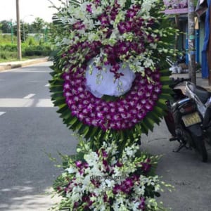 ke-hoa-chia-buon-le-roi-tien-dua-02-120321